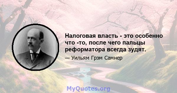 Налоговая власть - это особенно что -то, после чего пальцы реформатора всегда зудят.