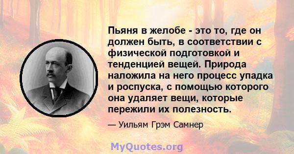 Пьяня в желобе - это то, где он должен быть, в соответствии с физической подготовкой и тенденцией вещей. Природа наложила на него процесс упадка и роспуска, с помощью которого она удаляет вещи, которые пережили их