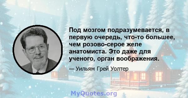 Под мозгом подразумевается, в первую очередь, что-то большее, чем розово-серое желе анатомиста. Это даже для ученого, орган воображения.