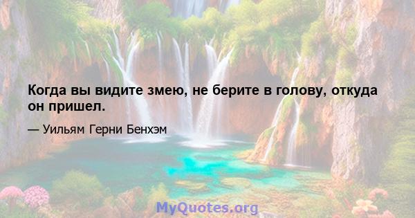 Когда вы видите змею, не берите в голову, откуда он пришел.