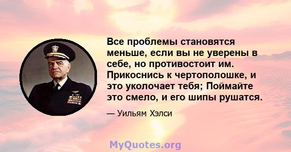 Все проблемы становятся меньше, если вы не уверены в себе, но противостоит им. Прикоснись к чертополошке, и это уколочает тебя; Поймайте это смело, и его шипы рушатся.