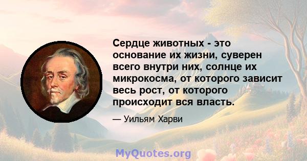 Сердце животных - это основание их жизни, суверен всего внутри них, солнце их микрокосма, от которого зависит весь рост, от которого происходит вся власть.