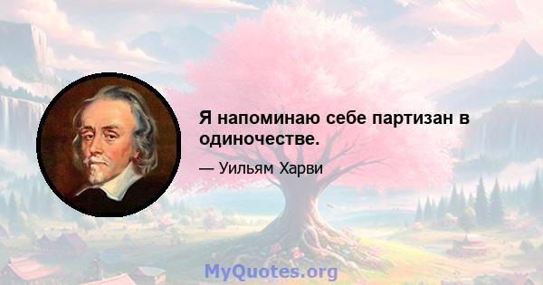 Я напоминаю себе партизан в одиночестве.