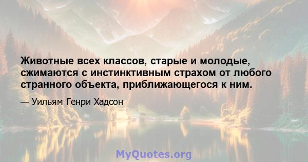 Животные всех классов, старые и молодые, сжимаются с инстинктивным страхом от любого странного объекта, приближающегося к ним.