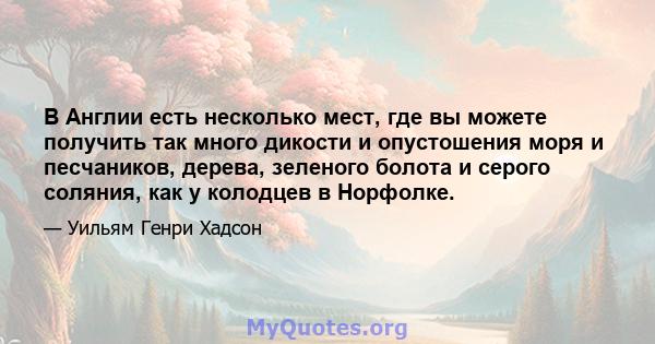 В Англии есть несколько мест, где вы можете получить так много дикости и опустошения моря и песчаников, дерева, зеленого болота и серого соляния, как у колодцев в Норфолке.