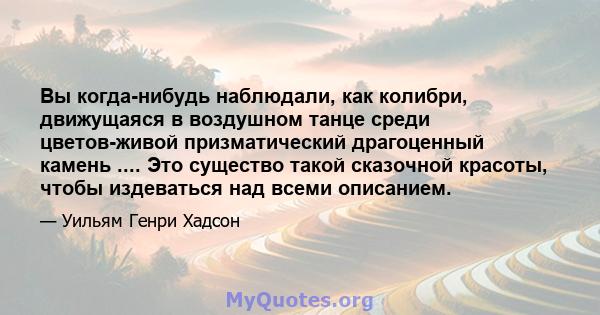 Вы когда-нибудь наблюдали, как колибри, движущаяся в воздушном танце среди цветов-живой призматический драгоценный камень .... Это существо такой сказочной красоты, чтобы издеваться над всеми описанием.