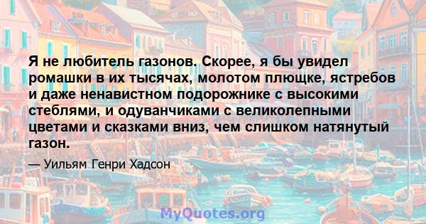 Я не любитель газонов. Скорее, я бы увидел ромашки в их тысячах, молотом плющке, ястребов и даже ненавистном подорожнике с высокими стеблями, и одуванчиками с великолепными цветами и сказками вниз, чем слишком натянутый 