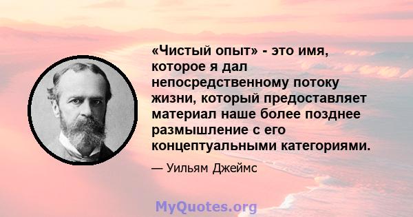 «Чистый опыт» - это имя, которое я дал непосредственному потоку жизни, который предоставляет материал наше более позднее размышление с его концептуальными категориями.