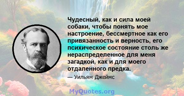 Чудесный, как и сила моей собаки, чтобы понять мое настроение, бессмертное как его привязанность и верность, его психическое состояние столь же нераспределенное для меня загадкой, как и для моего отдаленного предка.