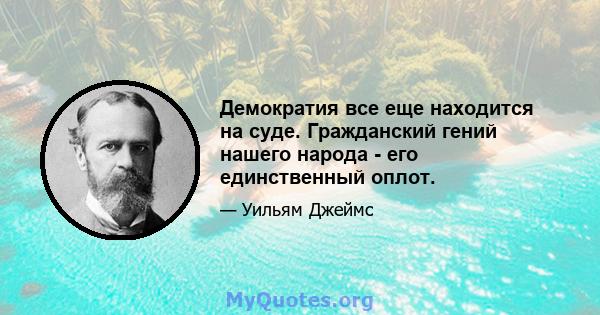 Демократия все еще находится на суде. Гражданский гений нашего народа - его единственный оплот.