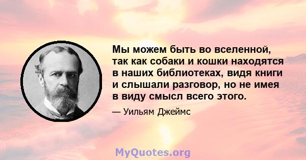 Мы можем быть во вселенной, так как собаки и кошки находятся в наших библиотеках, видя книги и слышали разговор, но не имея в виду смысл всего этого.