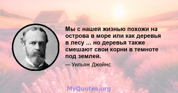 Мы с нашей жизнью похожи на острова в море или как деревья в лесу ... но деревья также смешают свои корни в темноте под землей.