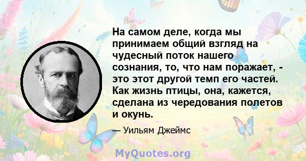 На самом деле, когда мы принимаем общий взгляд на чудесный поток нашего сознания, то, что нам поражает, - это этот другой темп его частей. Как жизнь птицы, она, кажется, сделана из чередования полетов и окунь.