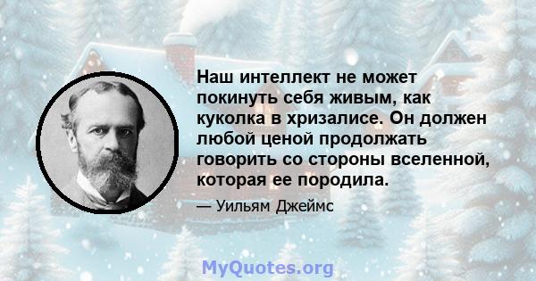 Наш интеллект не может покинуть себя живым, как куколка в хризалисе. Он должен любой ценой продолжать говорить со стороны вселенной, которая ее породила.