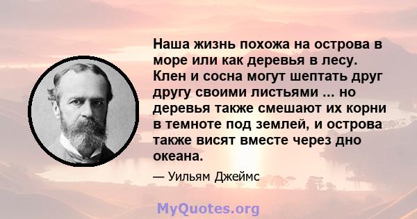 Наша жизнь похожа на острова в море или как деревья в лесу. Клен и сосна могут шептать друг другу своими листьями ... но деревья также смешают их корни в темноте под землей, и острова также висят вместе через дно океана.