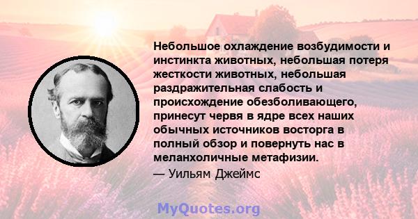 Небольшое охлаждение возбудимости и инстинкта животных, небольшая потеря жесткости животных, небольшая раздражительная слабость и происхождение обезболивающего, принесут червя в ядре всех наших обычных источников