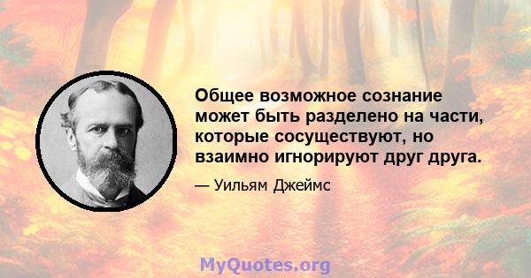 Общее возможное сознание может быть разделено на части, которые сосуществуют, но взаимно игнорируют друг друга.