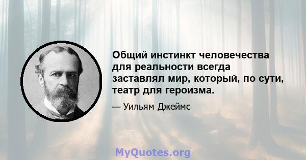 Общий инстинкт человечества для реальности всегда заставлял мир, который, по сути, театр для героизма.