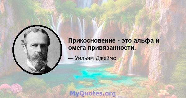 Прикосновение - это альфа и омега привязанности.