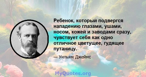 Ребенок, который подвергся нападению глазами, ушами, носом, кожей и заводами сразу, чувствует себя как одно отличное цветущее, гудящее путаницу.