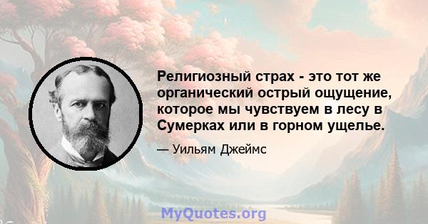 Религиозный страх - это тот же органический острый ощущение, которое мы чувствуем в лесу в Сумерках или в горном ущелье.