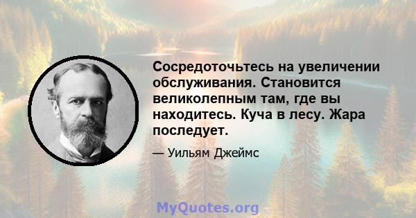 Сосредоточьтесь на увеличении обслуживания. Становится великолепным там, где вы находитесь. Куча в лесу. Жара последует.