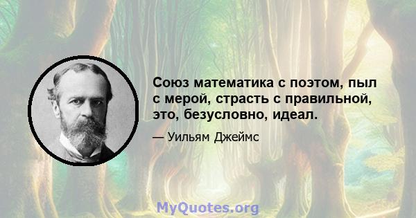 Союз математика с поэтом, пыл с мерой, страсть с правильной, это, безусловно, идеал.