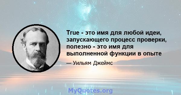 True - это имя для любой идеи, запускающего процесс проверки, полезно - это имя для выполненной функции в опыте