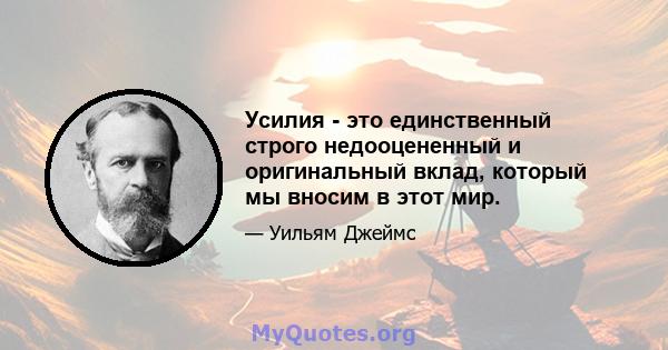 Усилия - это единственный строго недооцененный и оригинальный вклад, который мы вносим в этот мир.