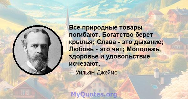 Все природные товары погибают. Богатство берет крылья; Слава - это дыхание; Любовь - это чит; Молодежь, здоровье и удовольствие исчезают.