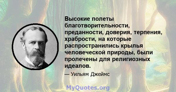 Высокие полеты благотворительности, преданности, доверия, терпения, храбрости, на которые распространились крылья человеческой природы, были пролечены для религиозных идеалов.