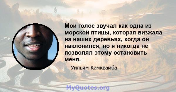 Мой голос звучал как одна из морской птицы, которая визжала на наших деревьях, когда он наклонился, но я никогда не позволял этому остановить меня.