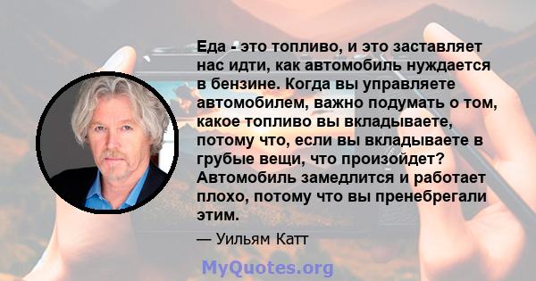 Еда - это топливо, и это заставляет нас идти, как автомобиль нуждается в бензине. Когда вы управляете автомобилем, важно подумать о том, какое топливо вы вкладываете, потому что, если вы вкладываете в грубые вещи, что