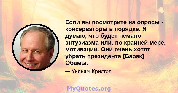 Если вы посмотрите на опросы - консерваторы в порядке. Я думаю, что будет немало энтузиазма или, по крайней мере, мотивации. Они очень хотят убрать президента [Барак] Обамы.