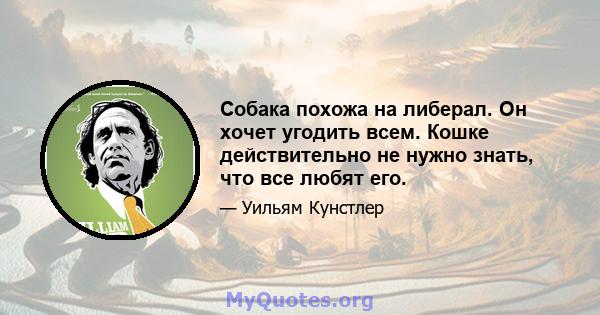 Собака похожа на либерал. Он хочет угодить всем. Кошке действительно не нужно знать, что все любят его.