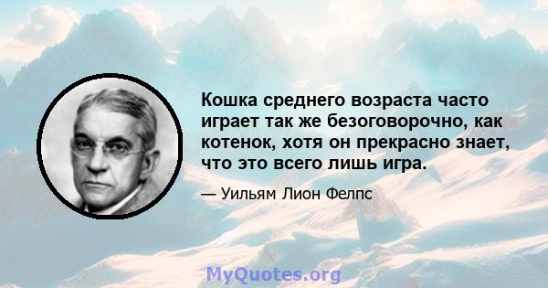 Кошка среднего возраста часто играет так же безоговорочно, как котенок, хотя он прекрасно знает, что это всего лишь игра.