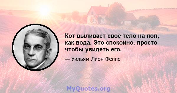 Кот выливает свое тело на пол, как вода. Это спокойно, просто чтобы увидеть его.