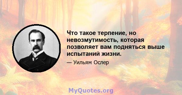 Что такое терпение, но невозмутимость, которая позволяет вам подняться выше испытаний жизни.