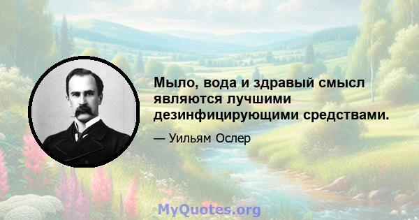 Мыло, вода и здравый смысл являются лучшими дезинфицирующими средствами.