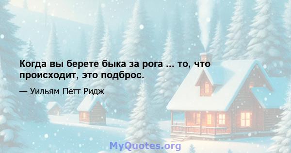 Когда вы берете быка за рога ... то, что происходит, это подброс.