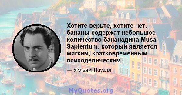 Хотите верьте, хотите нет, бананы содержат небольшое количество бананадина Musa Sapientum, который является мягким, кратковременным психоделическим.