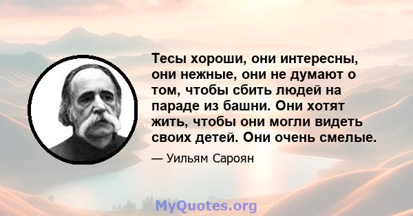 Тесы хороши, они интересны, они нежные, они не думают о том, чтобы сбить людей на параде из башни. Они хотят жить, чтобы они могли видеть своих детей. Они очень смелые.