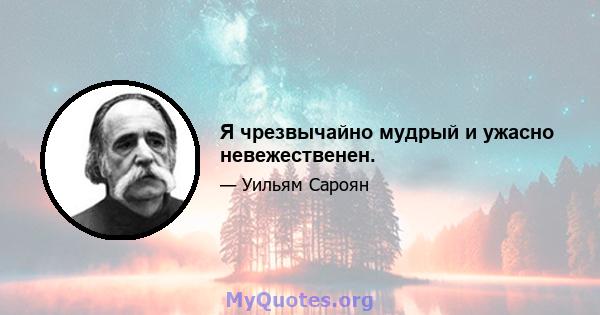 Я чрезвычайно мудрый и ужасно невежественен.