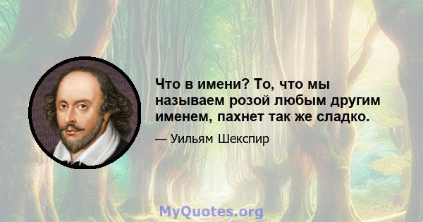 Что в имени? То, что мы называем розой любым другим именем, пахнет так же сладко.