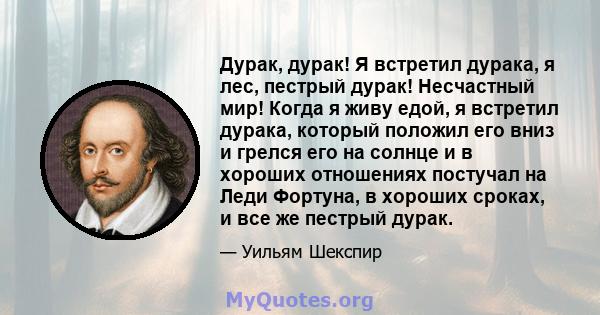 Дурак, дурак! Я встретил дурака, я лес, пестрый дурак! Несчастный мир! Когда я живу едой, я встретил дурака, который положил его вниз и грелся его на солнце и в хороших отношениях постучал на Леди Фортуна, в хороших