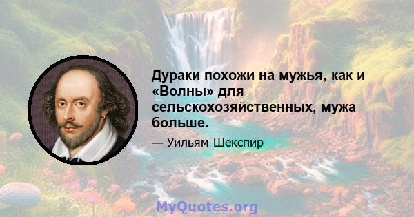 Дураки похожи на мужья, как и «Волны» для сельскохозяйственных, мужа больше.