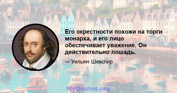 Его окрестности похожи на торги монарха, и его лицо обеспечивает уважение. Он действительно лошадь.