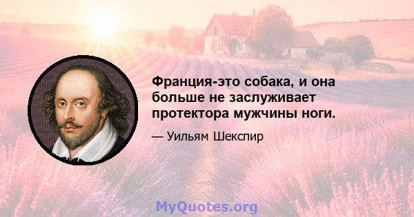 Франция-это собака, и она больше не заслуживает протектора мужчины ноги.