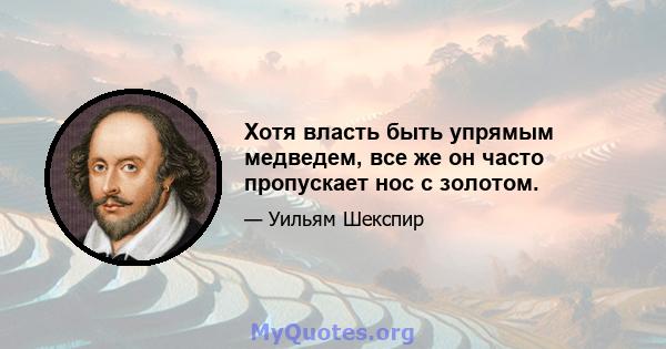 Хотя власть быть упрямым медведем, все же он часто пропускает нос с золотом.