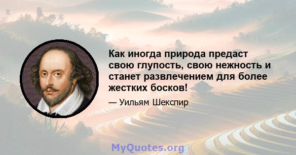 Как иногда природа предаст свою глупость, свою нежность и станет развлечением для более жестких босков!